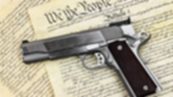 171017-waldman-2nd-amendment-tease_yyhvy